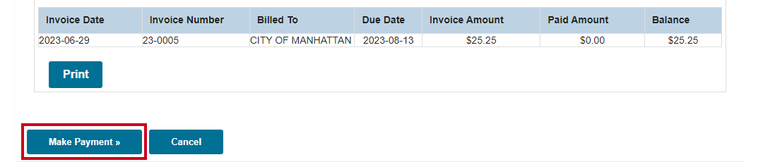 blue Make Payment button at bottom left of screen.